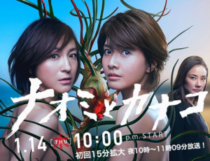 SnapCrab_NoName_2016-1-8_53o-00