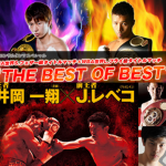 大晦日「ボクシング世界タイトルマッチ」第二弾!井岡&内山、田口他!結果と感想