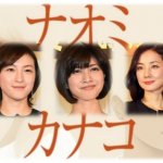 2016【冬ドラマ】『ナオミとカナコ』5話感想 "動き始めた犯罪!! あなたも共犯者!?"
