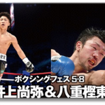 BOXING『八重樫東&井上尚弥』Wタイトルマッチ感想!過去の衝撃KO負け!思い出