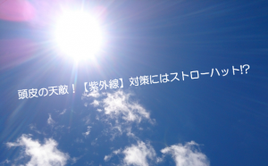 薄毛・抜け毛・頭皮の乾燥対策【猛暑に】ストローハットをおすすめする理由!