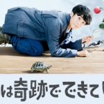 高橋一生主演ドラマ『僕らは奇跡でできている』感想!《加筆10/30》テーマはウサギとカメの物語!?