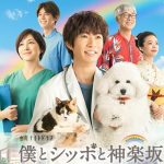 2018秋ドラマ『僕とシッポと神楽坂』感想!相葉君は動物との共演が良く似合う